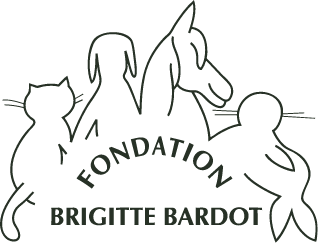 Logo de la fondation Brigitte Bardot