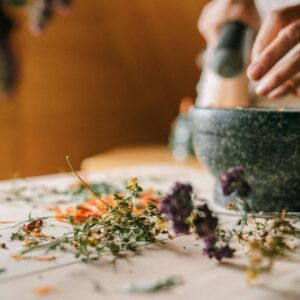 Entre Nature & gourmandise : la pâtisserie végétale