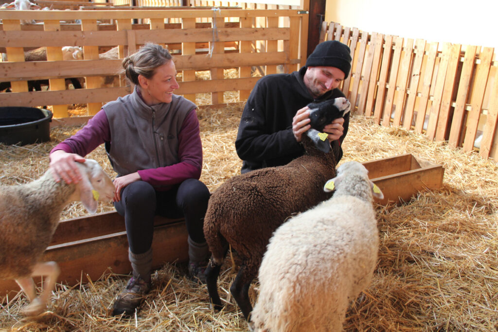 Madeleine Roediger et Olivier Monnet en train de passer du temps avec leur cheptel de moutons à Terre de Rêves