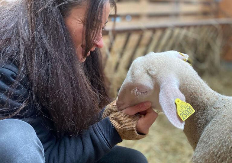 Une bénévole engagée dans le soutien du sanctuaire animalier câline un agneau en Terre de Rêves