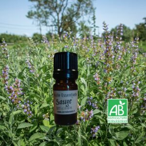 Huile Essentielle Sauge Officinale