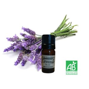 Huile Essentielle Lavande vraie