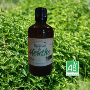 Hydrolat de Menthe